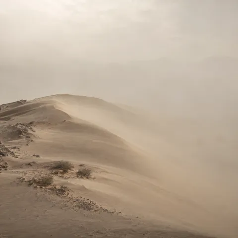 A sandy ridge with sparse shrubs fading into pale dust haze with barely visible distant hills.