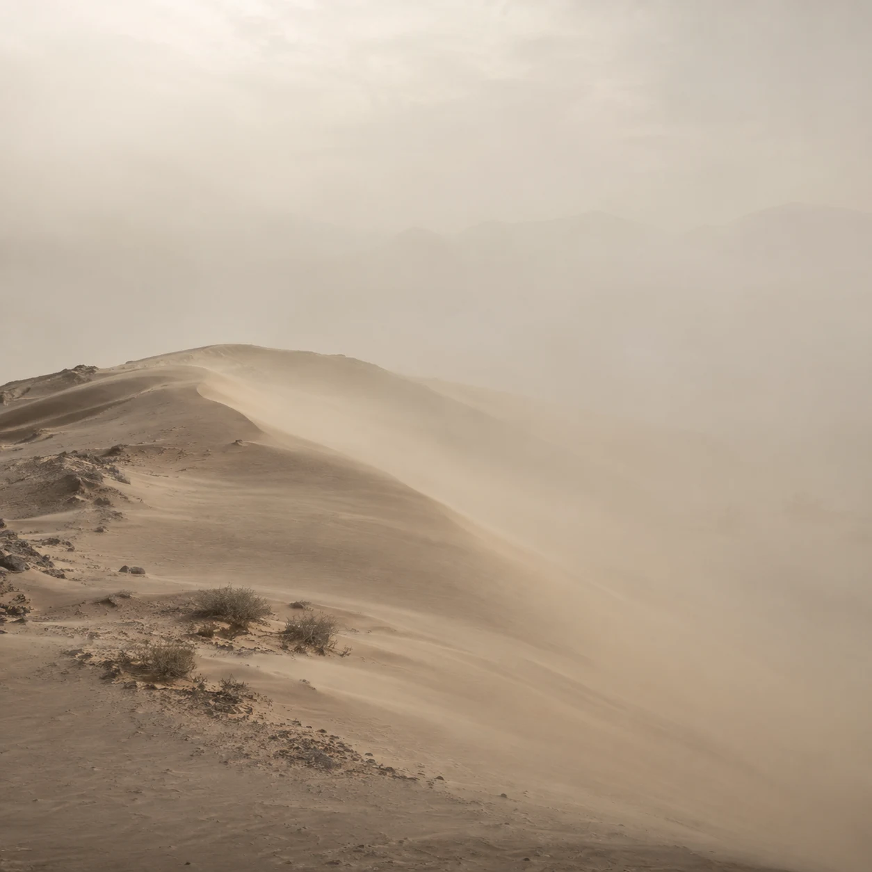 A sandy ridge with sparse shrubs fading into pale dust haze with barely visible distant hills.