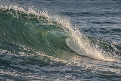 A translucent green wave folds into white spray against darker blue water.