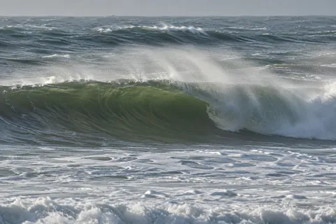 Wind lifts a fine veil of spray from a long olive-green breaker.