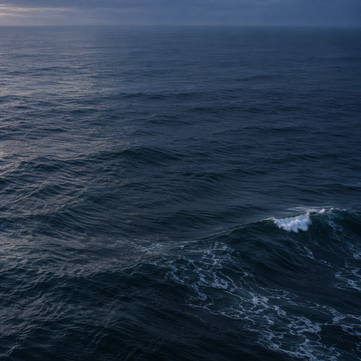 A small white crest breaks at the edge of a broad indigo sea beneath a dim horizon.