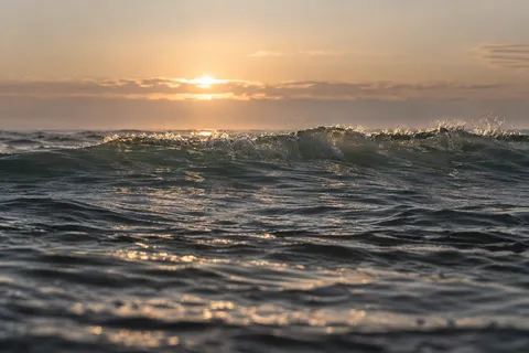 A low dark swell feathers into small glints of spray beneath soft morning light.