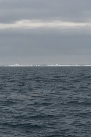 A thin distant line of white breakers divides dark rippled sea from a broad gray sky.