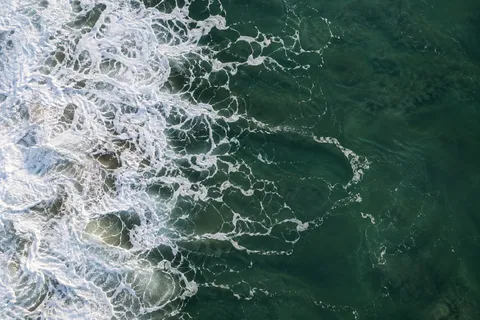 White foam branches from a dense edge into open deep-green water.