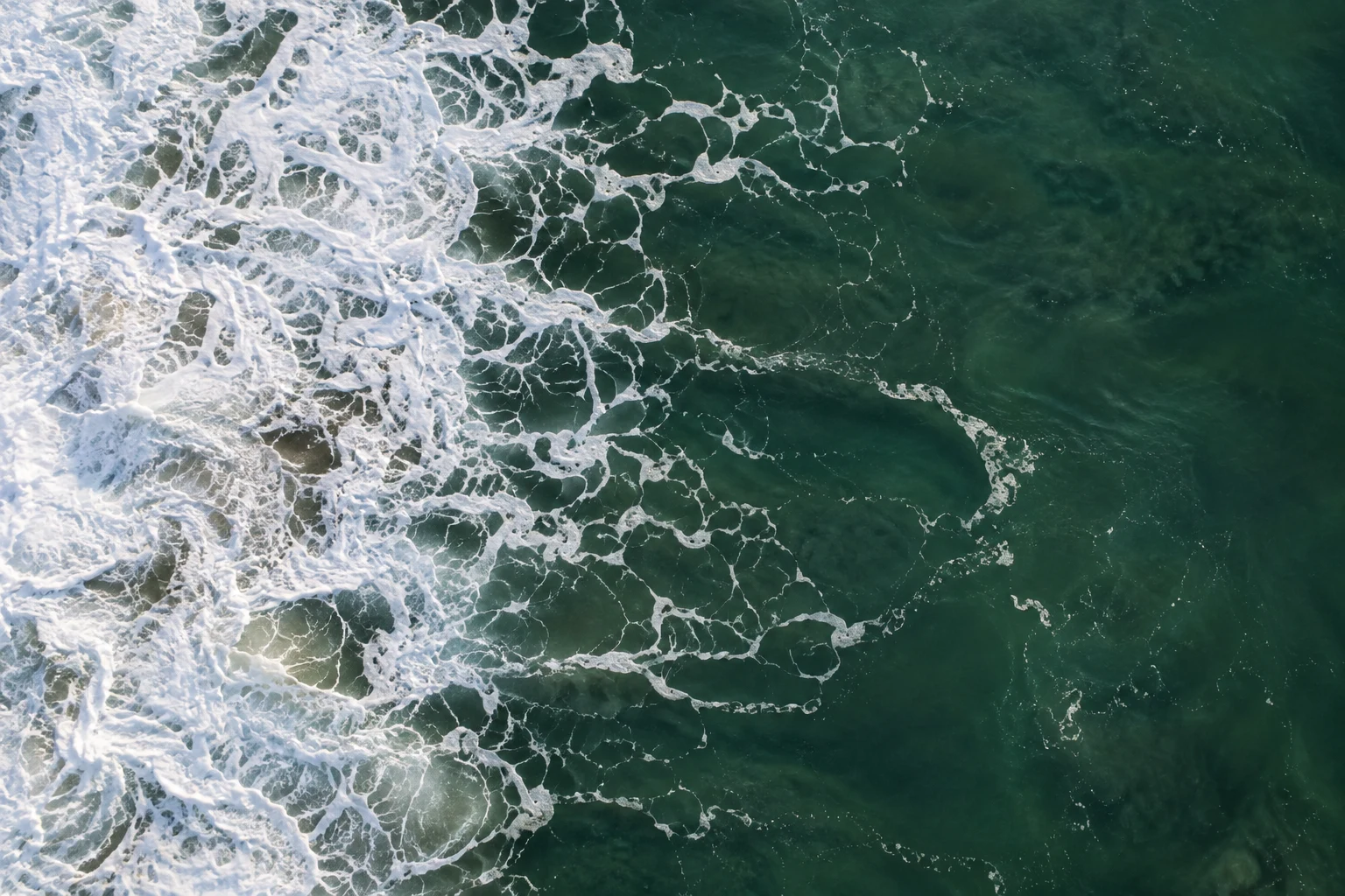 White foam branches from a dense edge into open deep-green water.