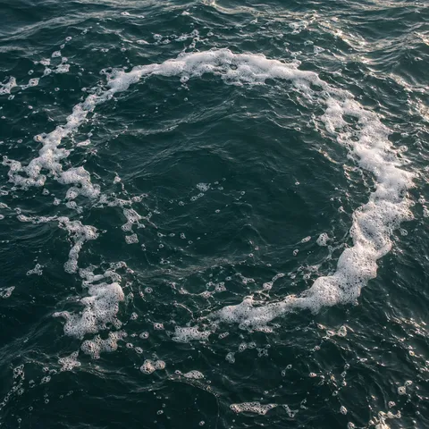 An uneven broken ring of foam floats across dark rippled water.