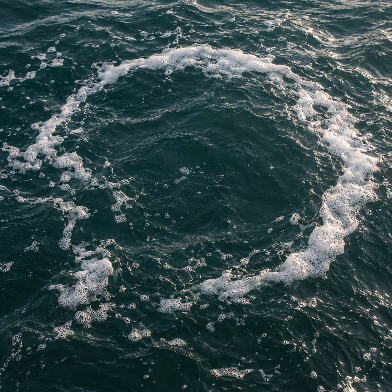 An uneven broken ring of foam floats across dark rippled water.