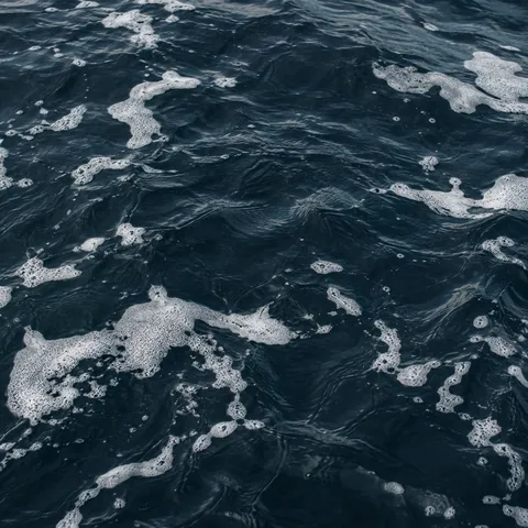 Scattered white foam patches float across rippling navy water.