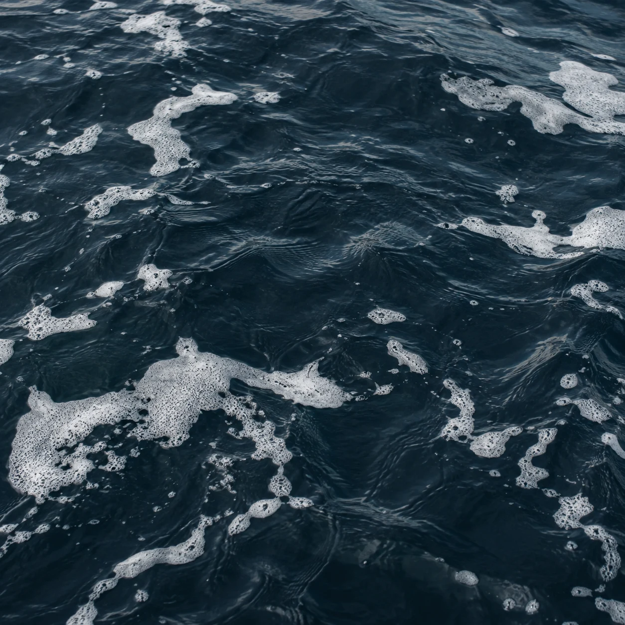 Scattered white foam patches float across rippling navy water.