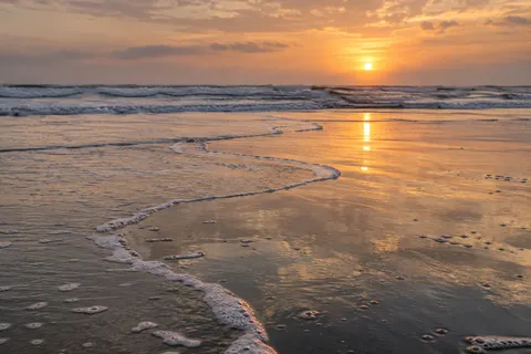 A thin curling wave crosses wet sand glowing with an evening sun.