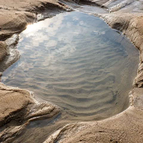 A small clear pool reveals rippled sand beneath a reflection of pale clouds.