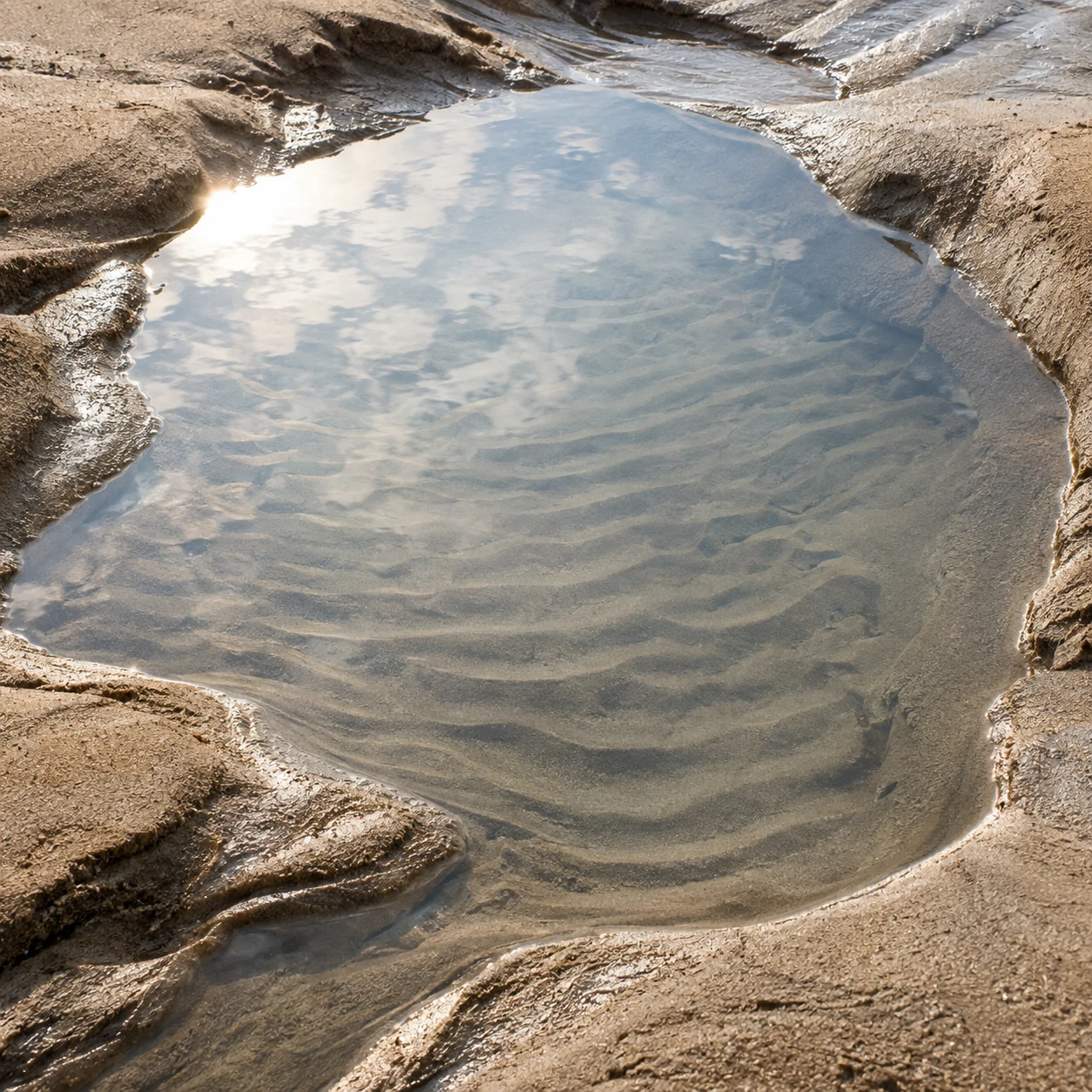 A small clear pool reveals rippled sand beneath a reflection of pale clouds.