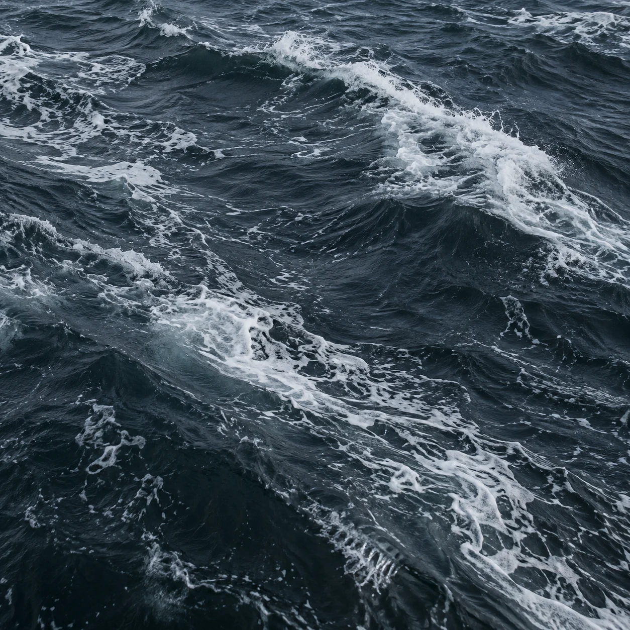 Dark wind-driven waves cross diagonally with scattered white foam.