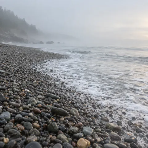 Wet pebbles meet a diagonal foam edge as a wooded coastal point disappears into silver mist.