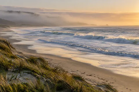Dune grasses overlook a long pale beach, warm-lit surf and a wooded hill wrapped in morning mist.