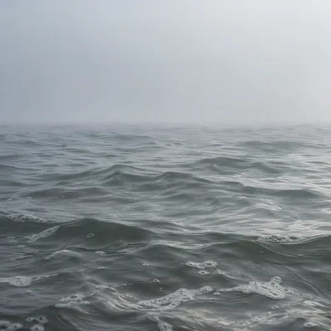 Close gray wavelets soften toward a broad pale field of mist.