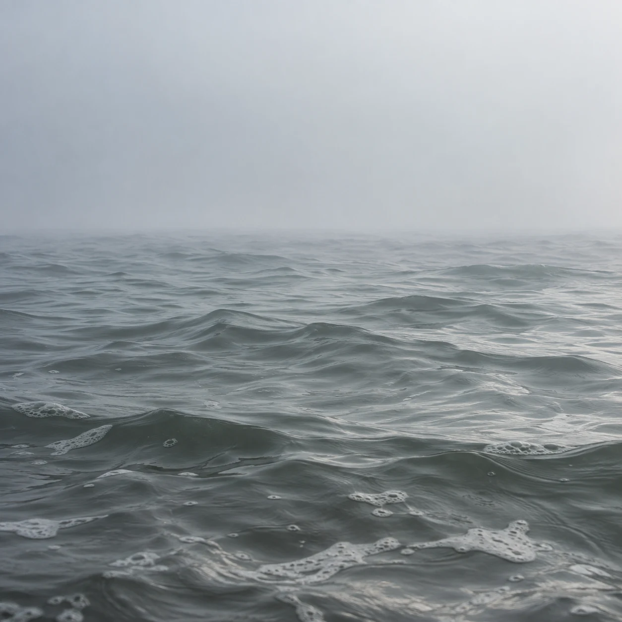Close gray wavelets soften toward a broad pale field of mist.
