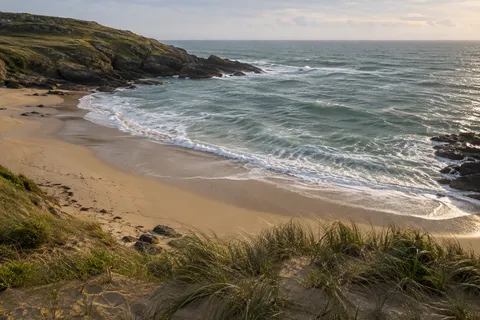 Wind-bent beach grass overlooks a curved sandy cove enclosed by dark rocks and a low green headland.