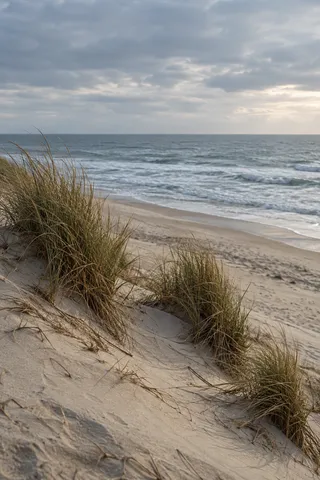 Three irregular grass clumps descend a sandy slope toward cool surf under a clouded sky.