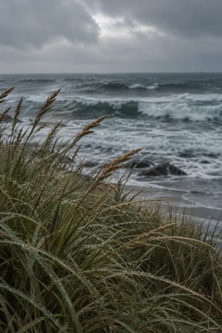 Rain-beaded grass and tawny seed heads stand before dark surf and heavy coastal clouds.