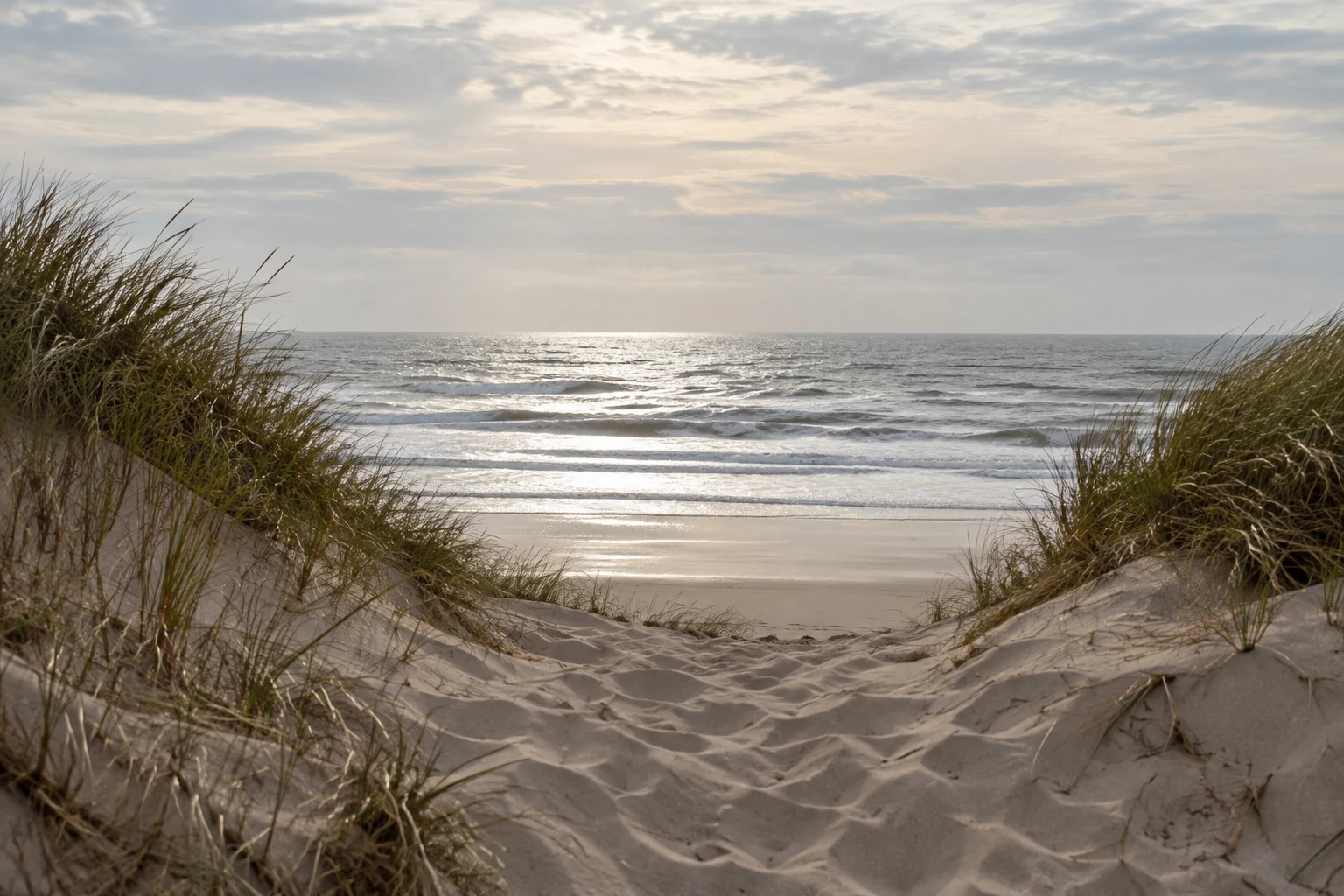 A low opening between grass-covered dunes reveals pale surf and a silver-lit sea.