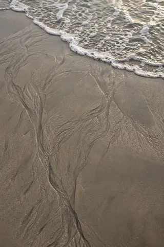 Fine branching backwash channels cross wet taupe sand below a thin diagonal foam edge.