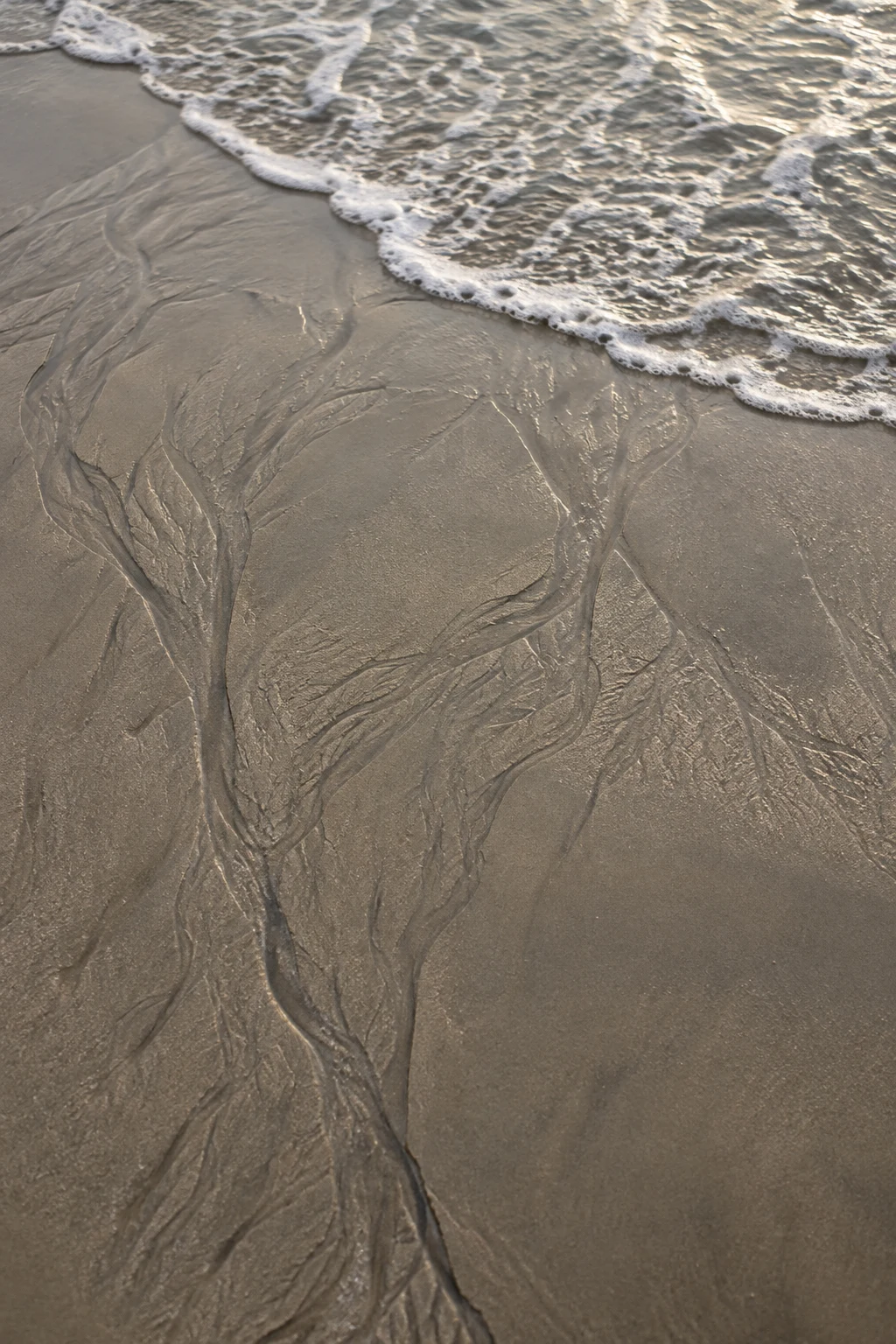 Fine branching backwash channels cross wet taupe sand below a thin diagonal foam edge.