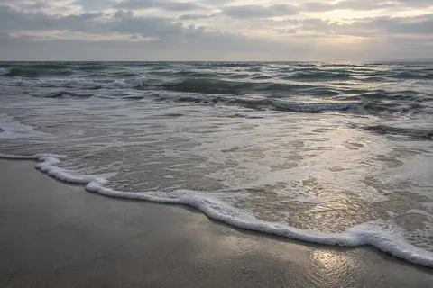 A delicate scalloped foam line crosses reflective wet sand beneath low morning surf.