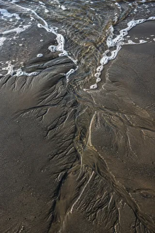 A narrow stream of clear water winds between branching channels in dark wet sand.