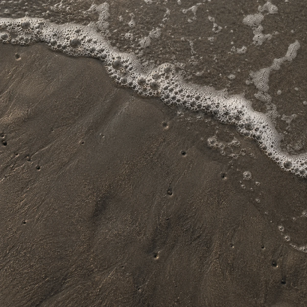 A thin diagonal fringe of foam rests on dark wet sand dotted with tiny water pits.