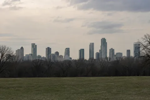 Unequal gray towers behind a dark band of bare trees and an empty muted green lawn.