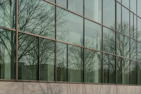Leafless trees reflected across green-tinted office windows above a pale stone base.