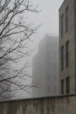 Fine bare branches beside a near gray facade and a more distant block fading into mist above a low wall.