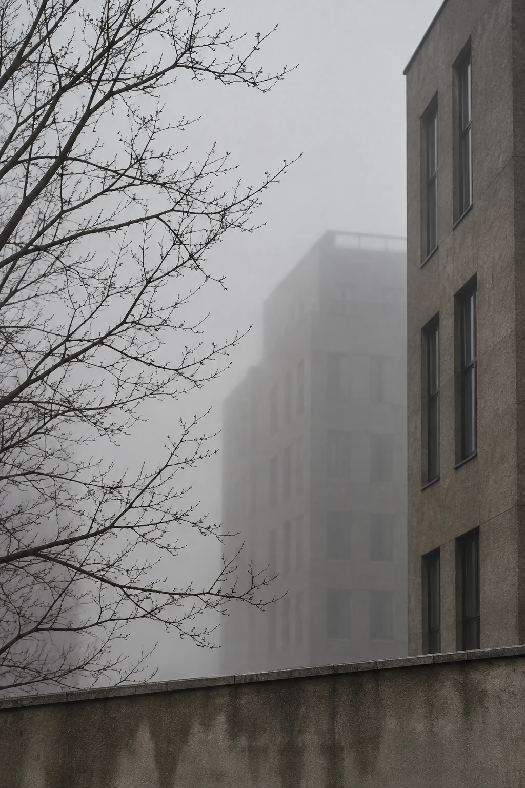 Fine bare branches beside a near gray facade and a more distant block fading into mist above a low wall.