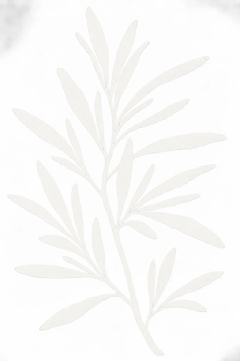 A sprig of rosemary in white; portrait artwork.