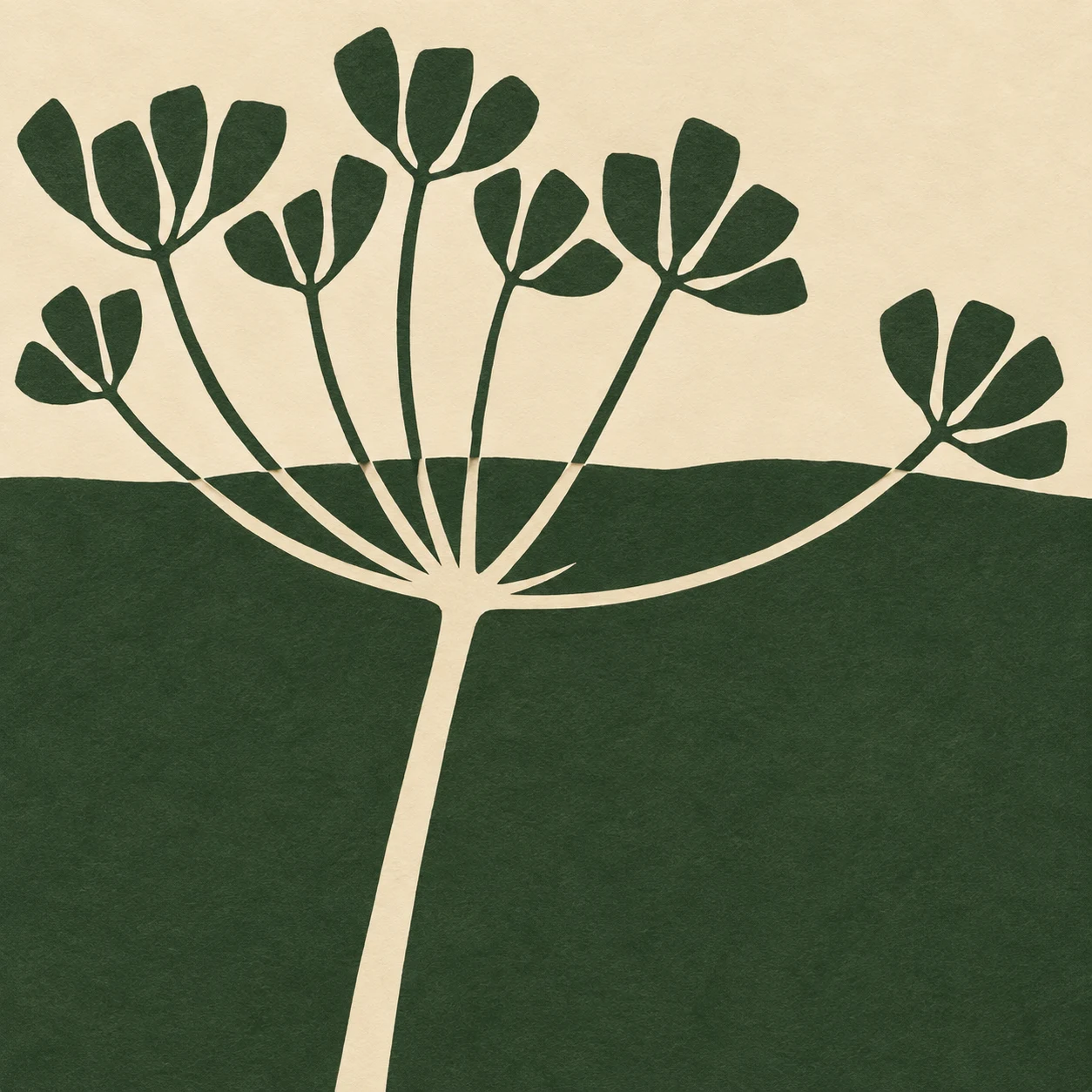 A dried seed head of a wild carrot in forest green, cream, sage; square artwork.