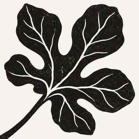 A fig leaf in white, black, charcoal, cream; square artwork.