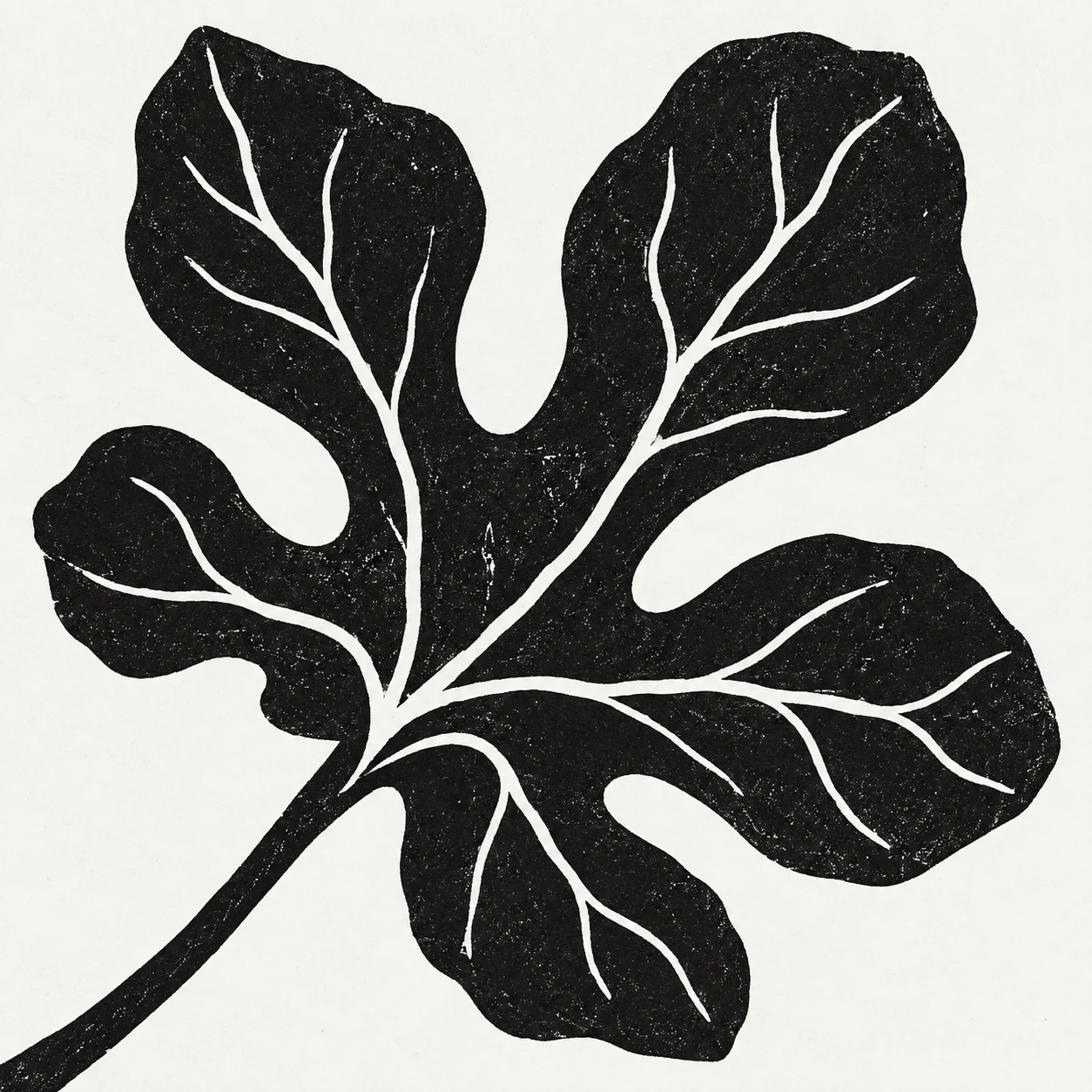 A fig leaf in white, black, charcoal, cream; square artwork.