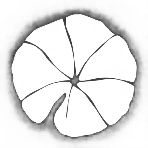 A lotus leaf from above in white, cream, gray; square artwork.