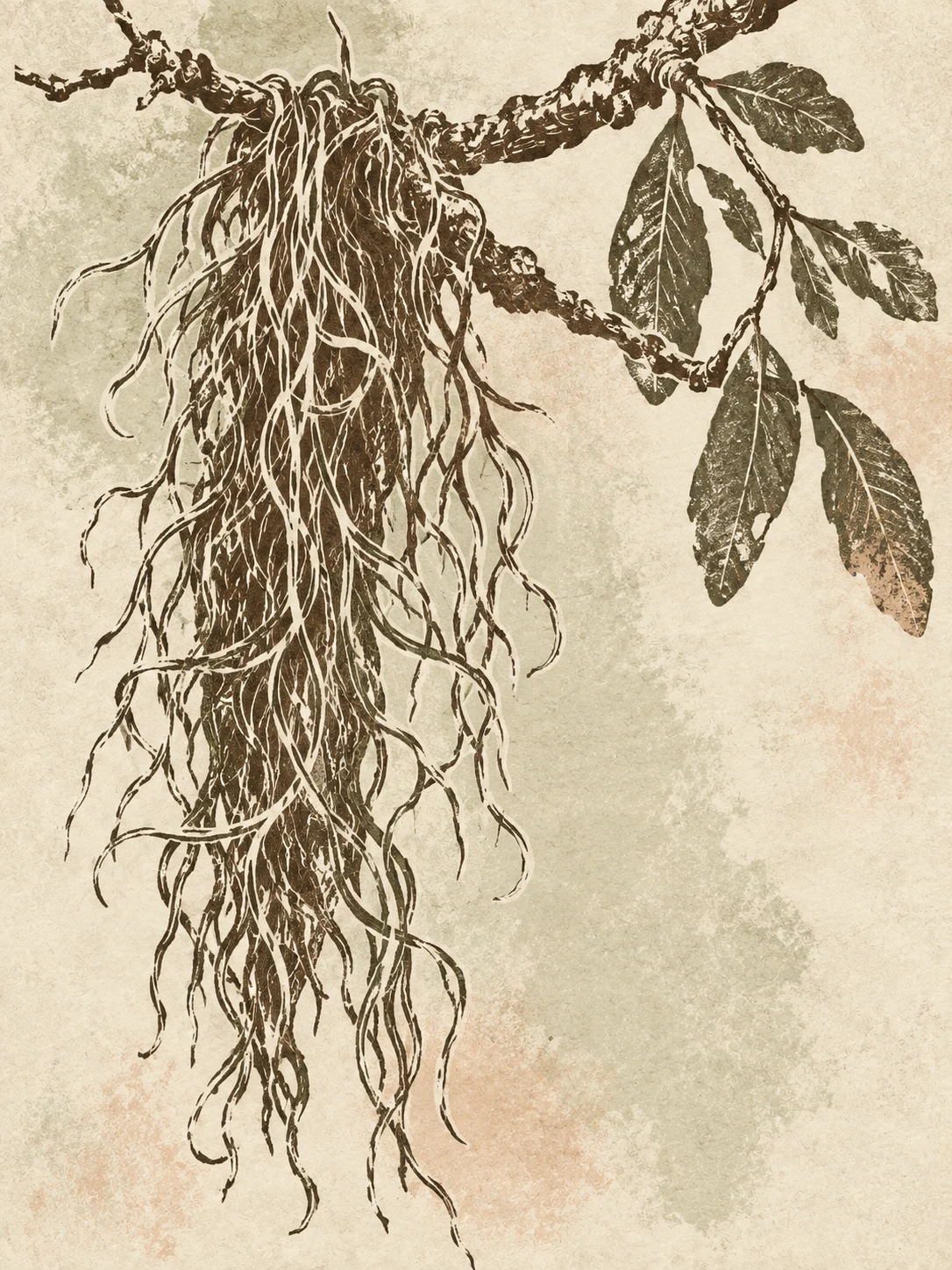 A strand of Spanish moss on a short branch in cream, stone, taupe, olive; portrait artwork.