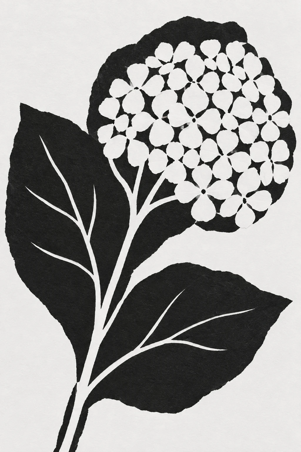 A pressed hydrangea head in white, black, stone, charcoal; portrait artwork.
