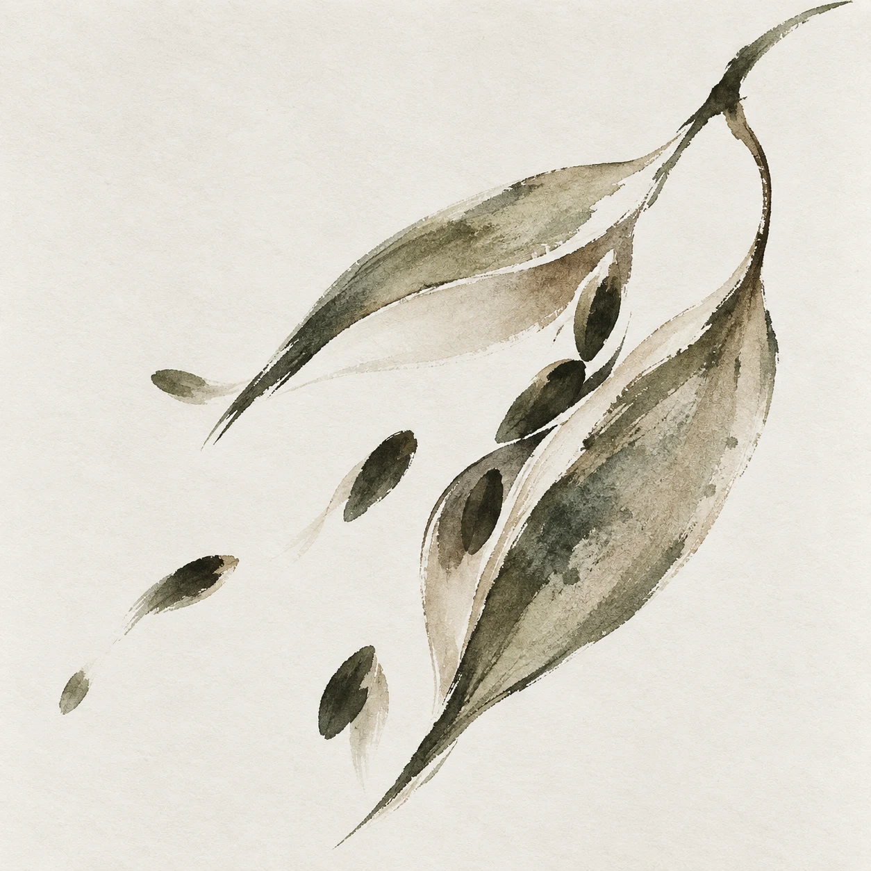 A seed pod split open in cream, white, stone, olive; square artwork.