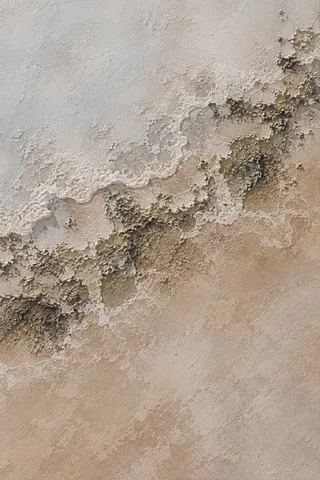 A shoreline foam line seen from above in sand, stone, gray, taupe; portrait artwork.