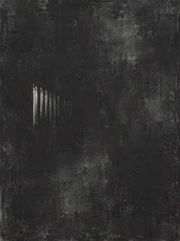 A comb of vertical strokes fading to the right in black, charcoal; portrait artwork.