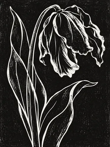 A single tulip past its best in black, charcoal, stone; portrait artwork.