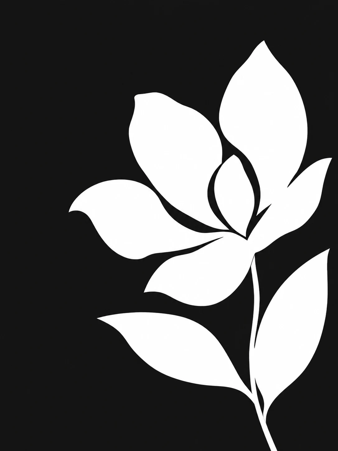 White magnolia blossom with two lower leaves and a curved stem, placed toward the right of a matte charcoal ground.