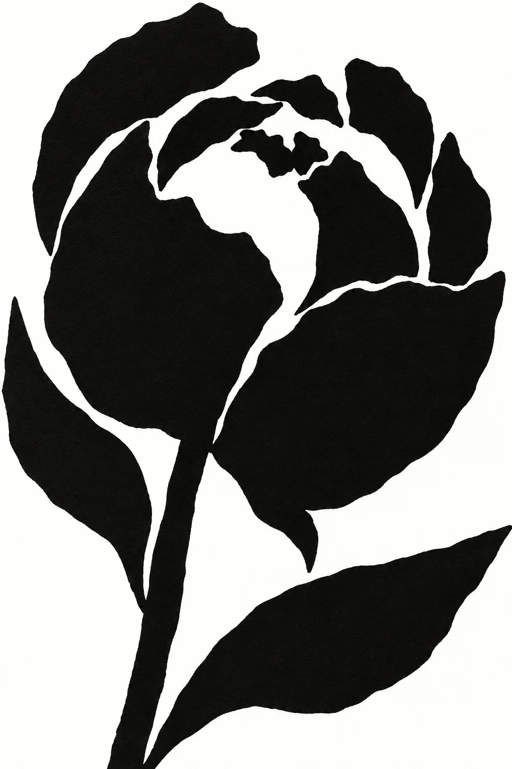 A peony bud half open in black, white, cream; portrait artwork.