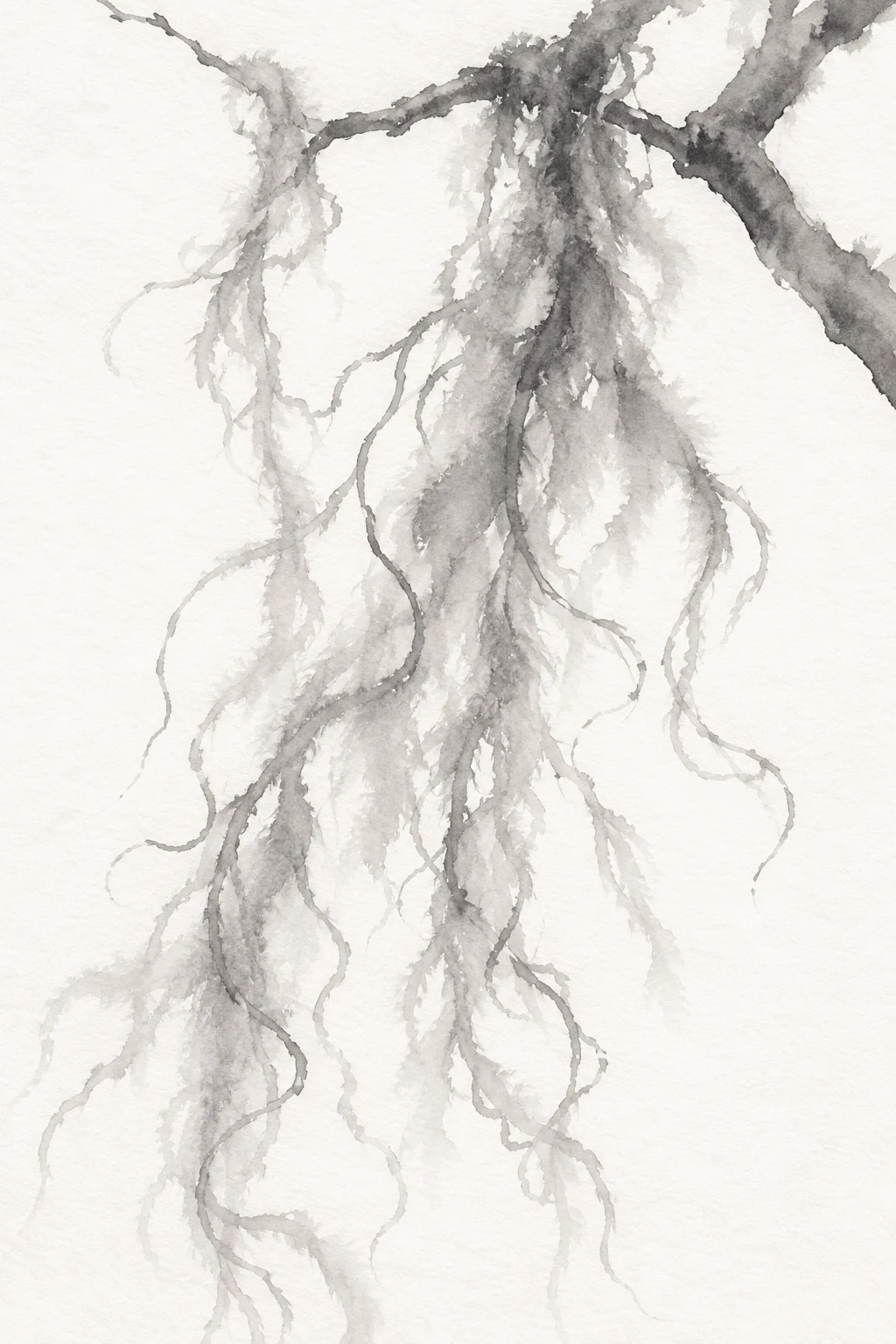 A strand of Spanish moss on a short branch in white, cream, gray; portrait artwork.
