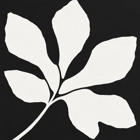 A fig leaf in black, white, stone; square artwork.