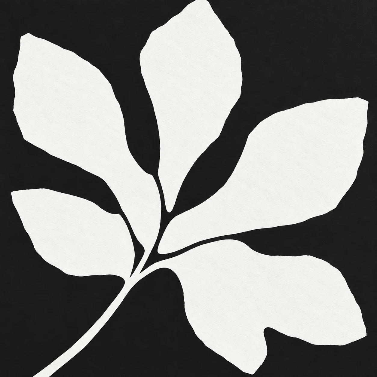 A fig leaf in black, white, stone; square artwork.